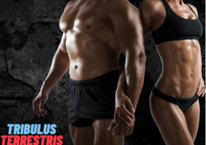 БАБИНИ ЗЪБИ, ПОЛЗИ ОТ УПОТРЕБАТА НА ТРИБУЛУС